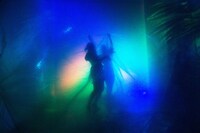 過去の公演より。(photo:Yoshihiro Arai）