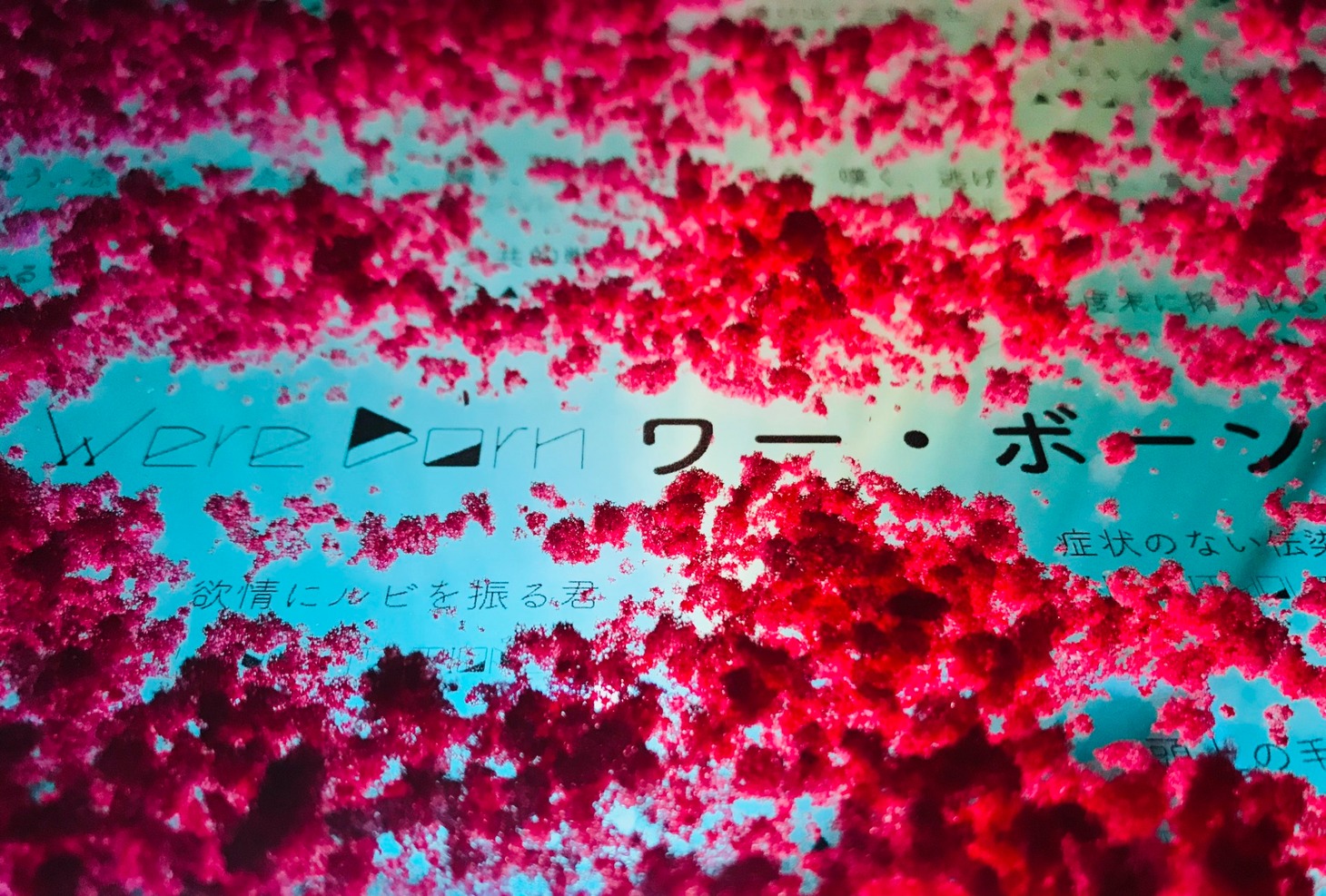 舞台芸術集団 地下空港 詩的・移動参加型演劇「Were Born / ワー・ボーン」ビジュアル
