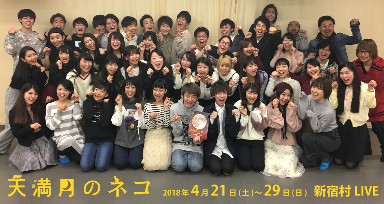 街で暮らす猫の恋と成長描く、LIVEDOG公演「天満月のネコ」