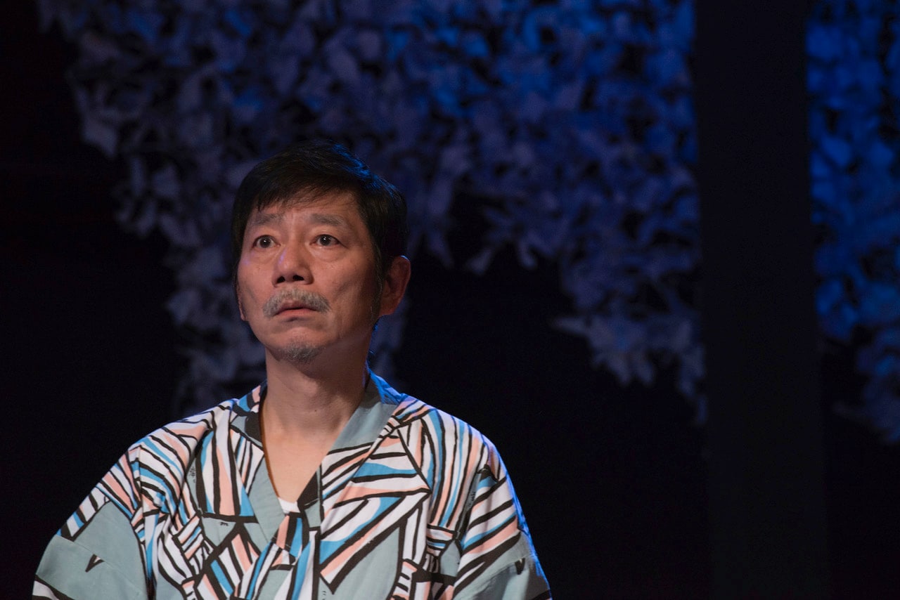 猫ホテ開幕、千葉雅子「枯れた味わい、みずみずしい思い、淡い夢が広がる世界」