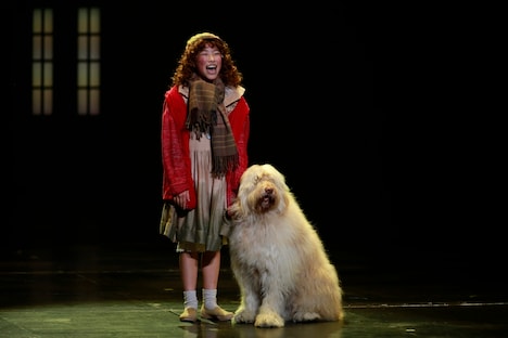 丸美屋食品ミュージカル「アニー」ゲネプロより。