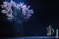 「超歌舞伎『積思花顔競（つもるおもいはなのかおみせ）』」より。