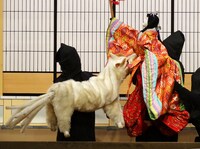 淡路人形座「玉藻前曦袂 神泉苑の段・狐七化けの段」より。