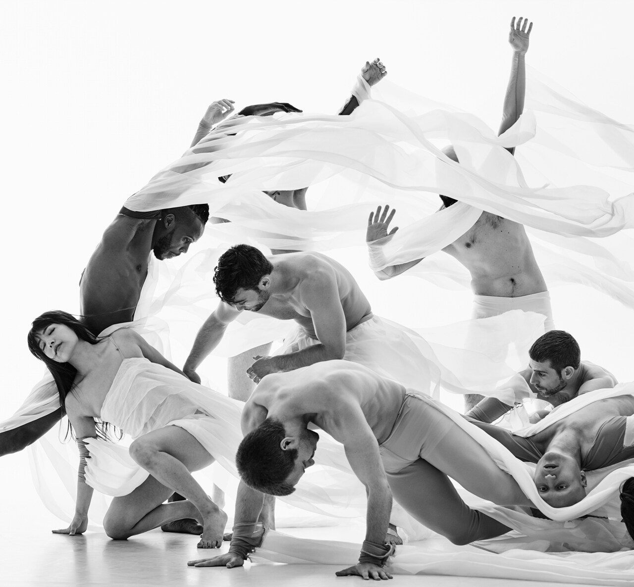 ブランカ・リーの作品より。（Photo：Nico Bustos）