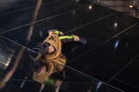 KAAT×地点 共同制作第8弾「山山」より。（撮影：松見拓也）