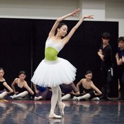 東京バレエ団「白鳥の湖」沖香菜子&宮川新大ペアが初々しい姿を披露