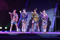 佐藤祐吾、芹沢尚哉、深澤大河、大海将一郎演じるふらわーあれんじめんと。