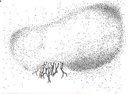 「雅歌」イメージドローイング(c)TomokoMukaiyama