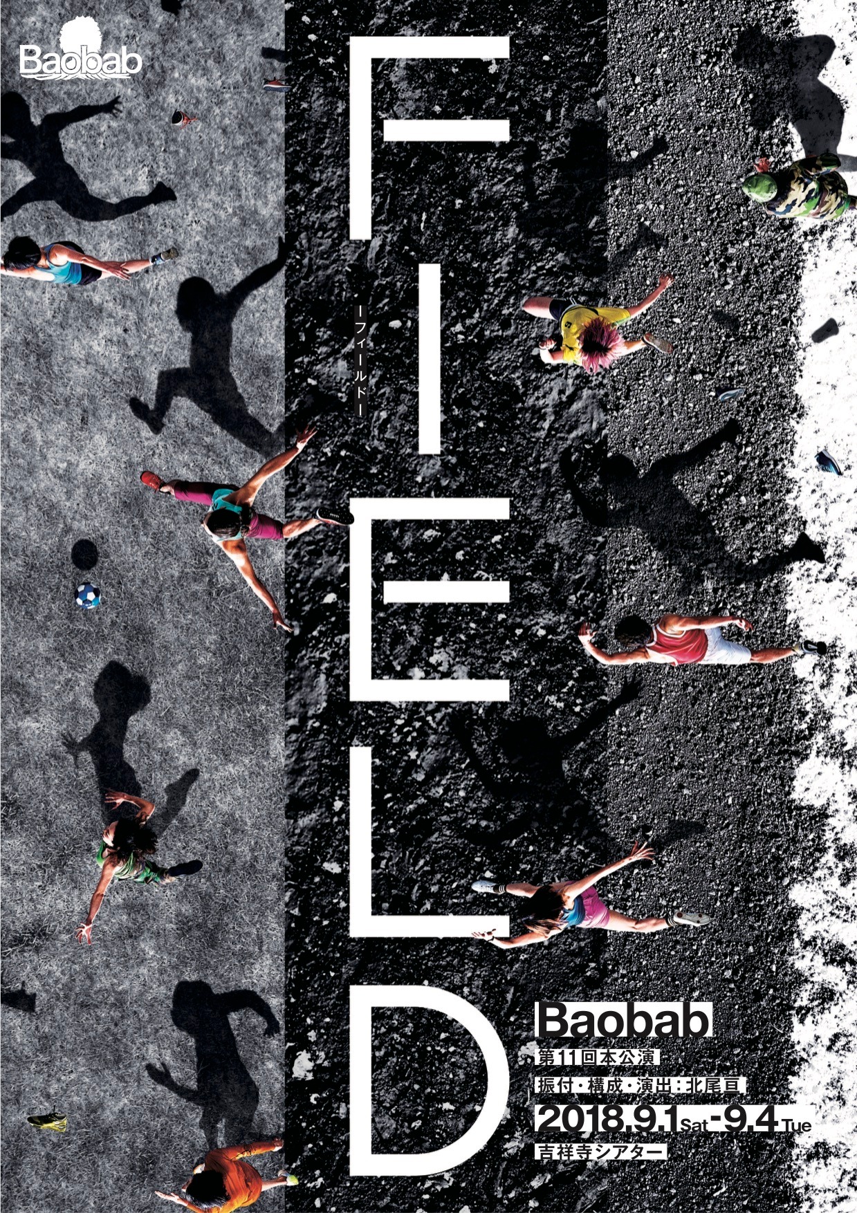 Baobab 第11回本公演「FIELD-フィールド-」チラシ表