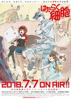 アニメ「はたらく細胞」の第2弾キービジュアルを用いたポスター。