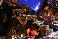 キャッツ・シアター内覧会より。