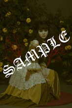 “選べるL判ブロマイド”より、田村芽実扮するガーベラのブロマイドのサンプル。