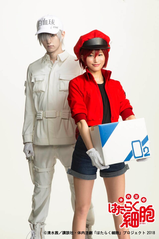 「体内活劇『はたらく細胞』」ビジュアル