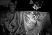 ゲッコーパレード過去公演の様子。（photo by Kenji Seo）