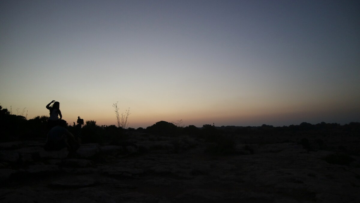 パウ・アラン・ジメーノ×石井順也×小暮香帆のトーク＆ワークショップ