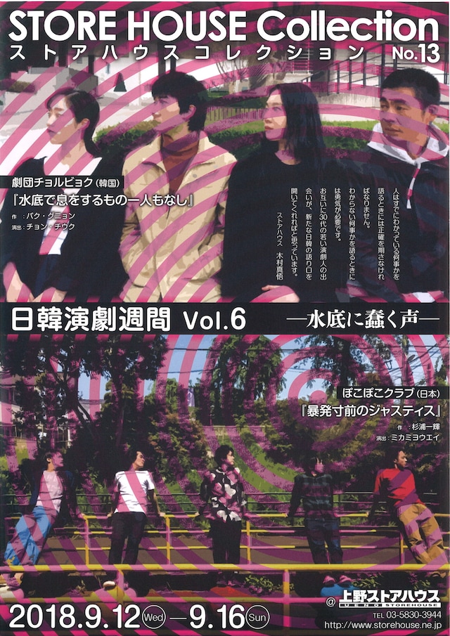 「ストアハウスコレクションNo.13 日韓演劇週間Vol.6-水底に蠢く声-」チラシ