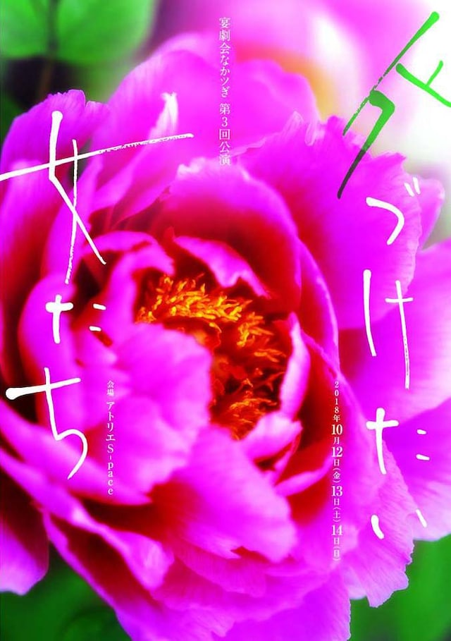 宴劇会なかツぎ 第3回公演「片づけたい女たち」チラシ