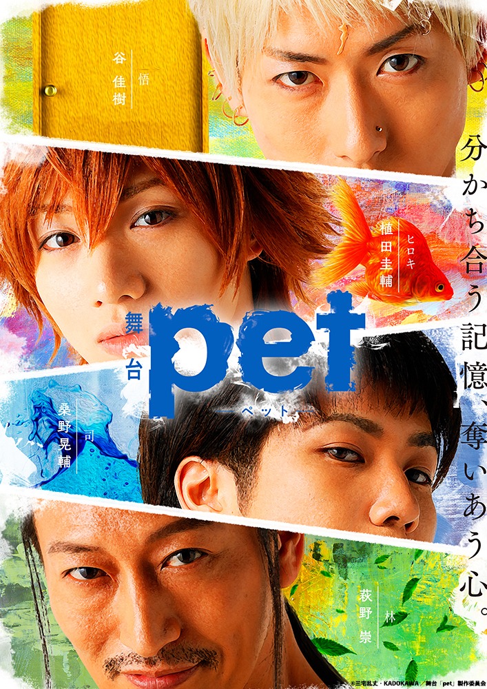 舞台「pet」キービジュアル