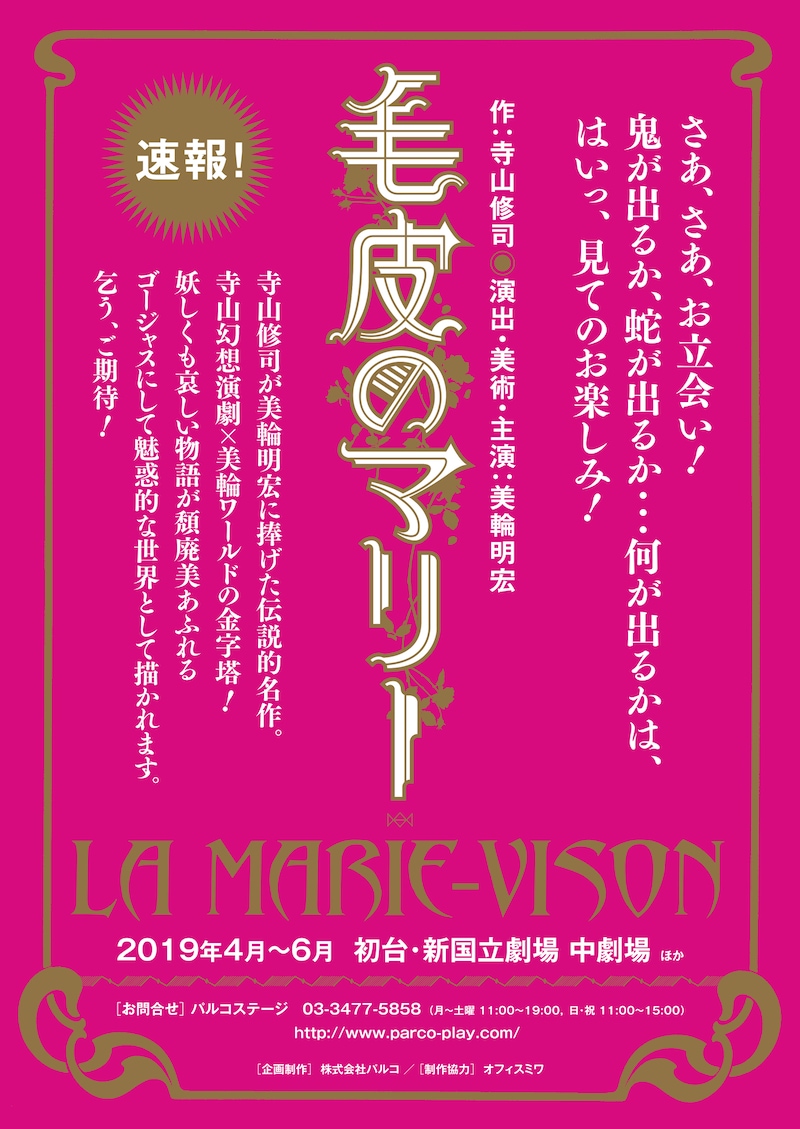 「毛皮のマリー」仮チラシ