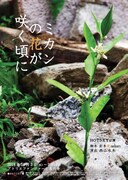 HOTSKY「ミカンの花が咲く頃に」チラシ表