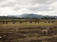 マレビトの会「福島を上演する」ビジュアル(c)Keiko Sasaoka