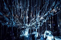 「仕立て屋のサーカス」過去の公演より。