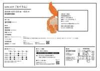 sortie vol.01「セイラム」チラシ裏
