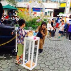 中学生以上は出演も!「新春浅草商店街スイッチ(仮)」が1月に