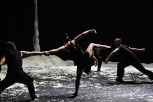 KAAT DANCE SERIES 2018 北村明子 Cross Transit project「土の脈」より。（撮影：大洞博靖）