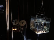 藤田陽介 新作ソロ公演「水とテープの音楽」ビジュアル