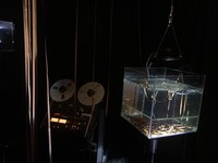 藤田陽介 新作ソロ公演「水とテープの音楽」ビジュアル