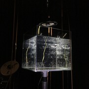 藤田陽介 新作ソロ公演「水とテープの音楽」ビジュアル