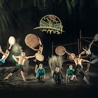 ベトナムの“ヌーボー・シルク”による“米”がテーマのダンス「The Mist」