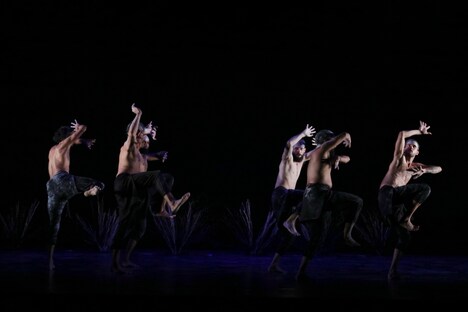 バンガラ・ダンス・シアター「Spirit 2018」より。(c)Bangarra Dance Theatre and Arnold Groeschel