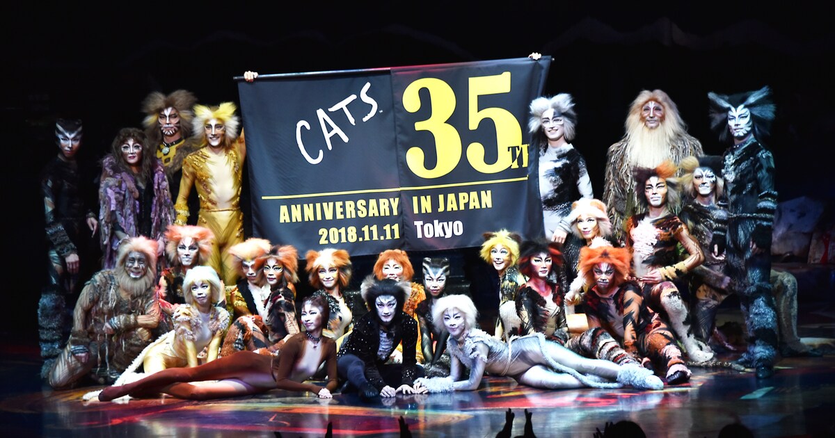 1111cats_1.jpg?impolicy= 