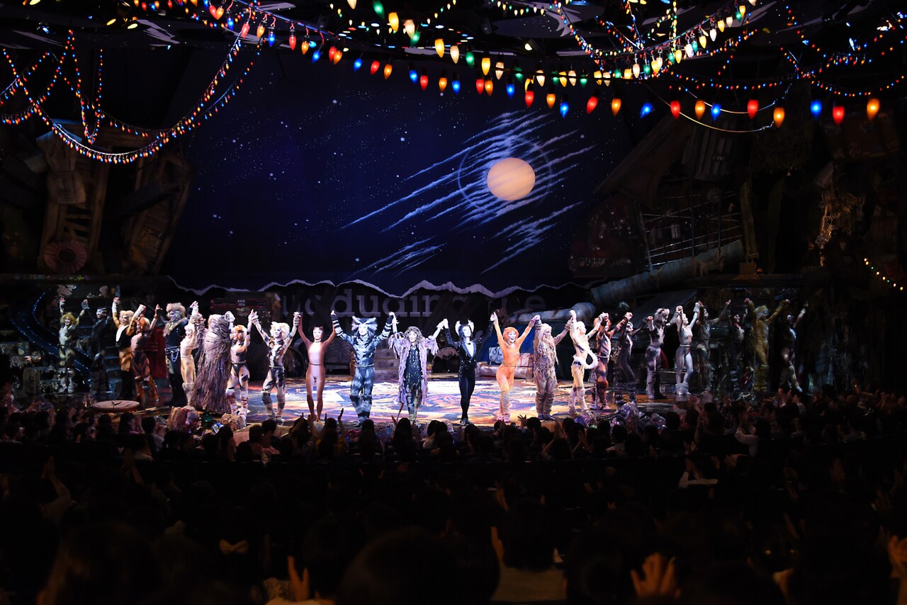劇団四季　キャッツ　初演　山口祐一郎　ビデオ　DVD  開演からカーテンコール！ 劇団四季 キャッツ 初演 山口祐一郎 ビデオ DVD 開演から