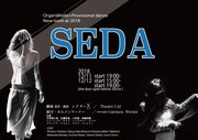 OrganWorks + Provisional danza「SEDA」チラシ表