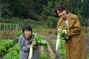 野菜を収穫する井上芳雄（右）。