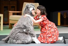 月刊「根本宗子」第16号「愛犬ポリーの死、そして家族の話」公開舞台稽古より。