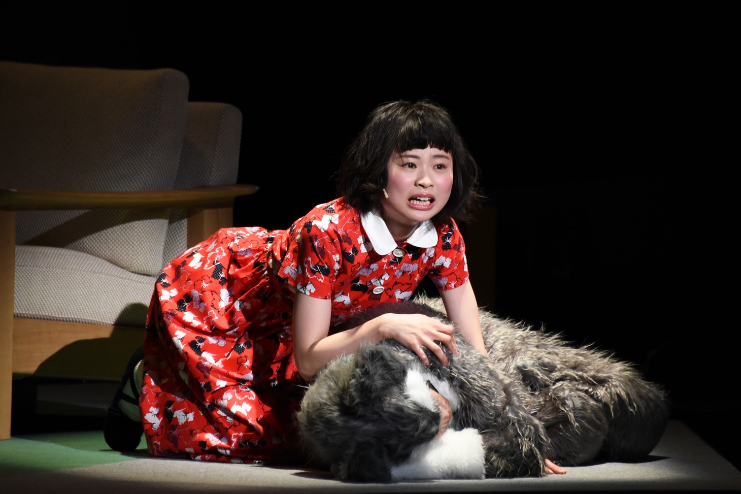 月刊「根本宗子」第16号「愛犬ポリーの死、そして家族の話」公開舞台稽古より。
