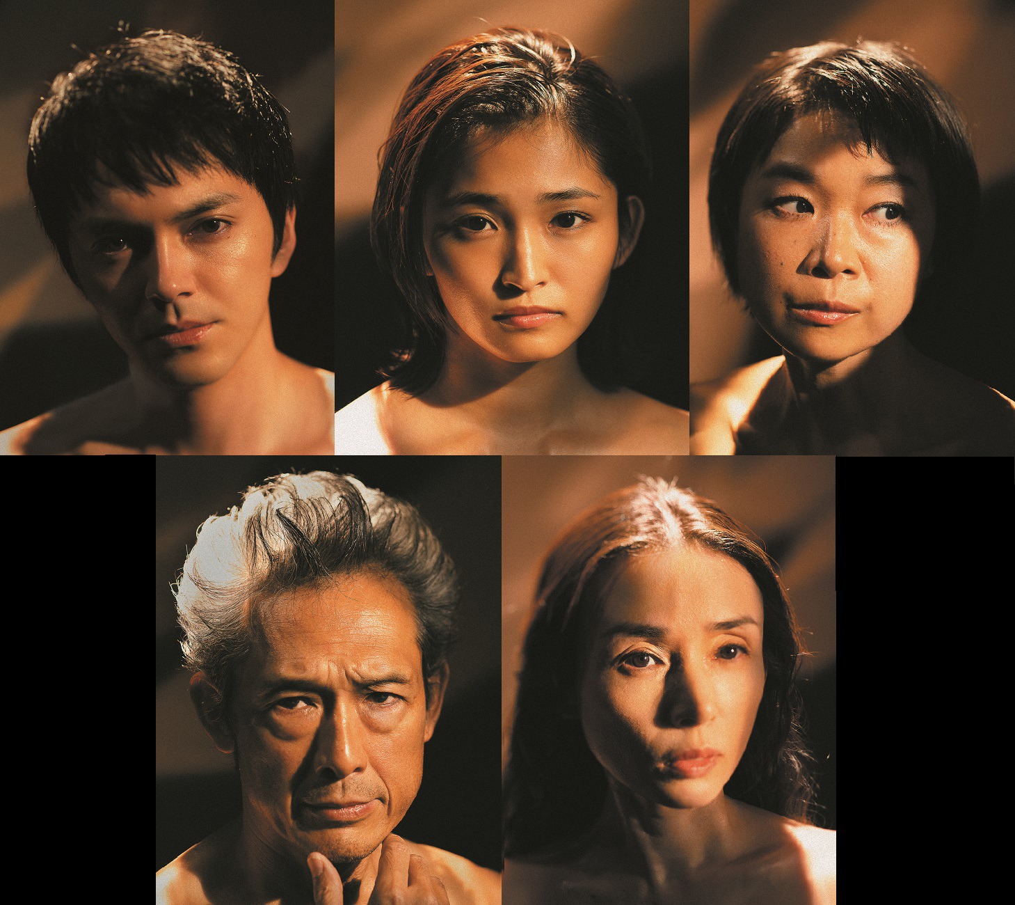 「熱帯樹」メインビジュアル（撮影：細野晋司）