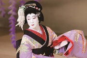 「《シネマ歌舞伎》二人藤娘／日本振袖始」より。(c)岡本隆史