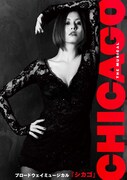 ブロードウェイミュージカル「シカゴ」ビジュアル（Photo by Junji Ishiguro）