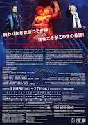 ミュージカル「ダンス オブ ヴァンパイア」チラシ裏