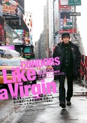 コンドルズ 埼玉公演2019 新作「Like a Virgin」チラシ(c)HARU