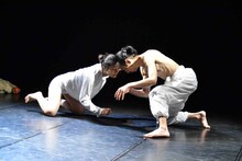 M-laboratory「いなくなる動物」沖縄公演より。（撮影：Rieko Yamauchi）