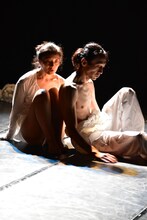 M-laboratory「いなくなる動物」沖縄公演より。（撮影：Rieko Yamauchi）