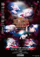 舞台版「BLACK BIRD」ビジュアル