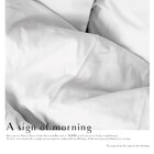 TOKYO笹塚ボーイズ“貧困”がテーマの新作「朝の気配」