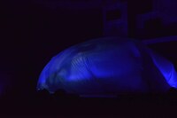 ミュージカル「HARUTO」ゲネプロより。